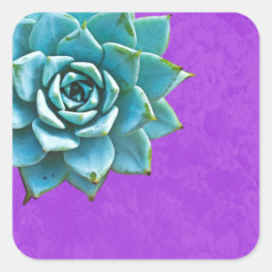 Succulent Watercolor Purple Lace Square Sticker