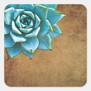 Succulent Watercolor Rustic Brown Square Sticker