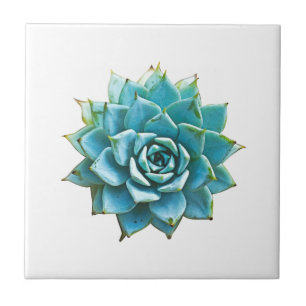 Succulent Watercolor Tile