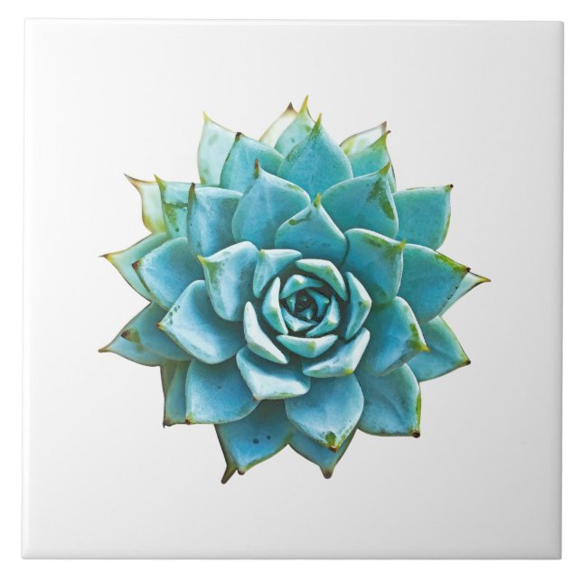 Succulent Watercolor Tile (Front)