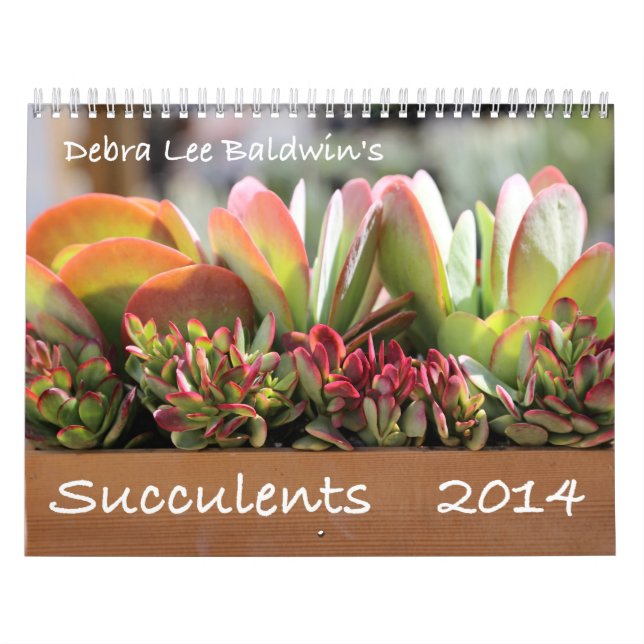 Succulents 2014 Calendar by Debra Lee Baldwin (Cover)