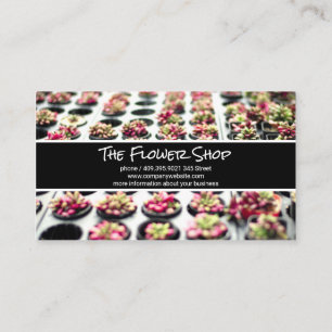 Succulents Flowers Nursery Business Card
