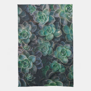 Succulents garden plants dish tea towel