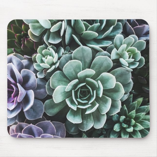 Succulents Green Plants Nature Mouse Pad (Front)