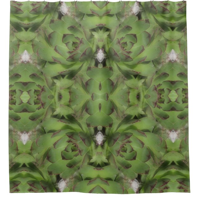 Succulents Hens And Chicks Abstract       Shower Curtain (Front)