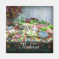 Succulents in Treasure Chest