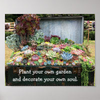 Succulents in Treasure Chest