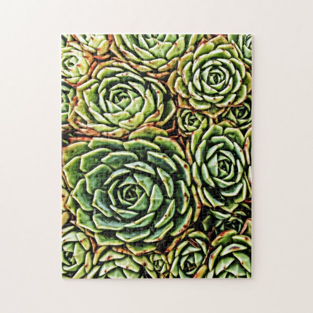 Succulents Jigsaw Puzzle (Vertical)