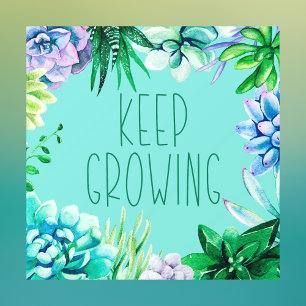 Succulents Keep Growing Aqua Green and Purple