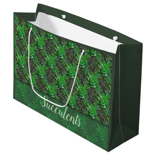 Succulents Large Gift Bag (Front Angled)