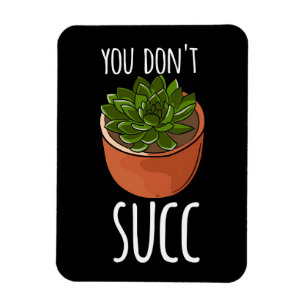 Succulents Magnet