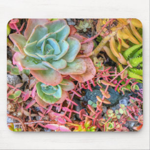 Succulents Mouse Pad