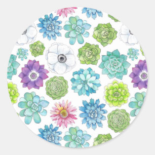 Succulents - multicolored - classic round sticker