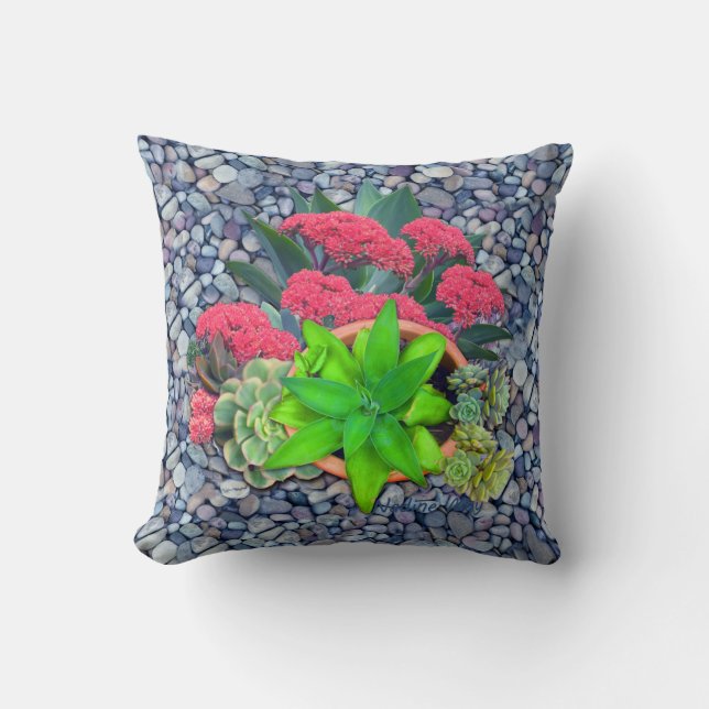 Succulents on a riverbed cushion (Front)