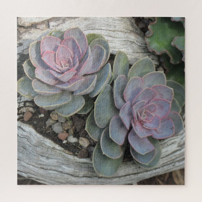Succulents On Driftwood Jigsaw Puzzle (Vertical)