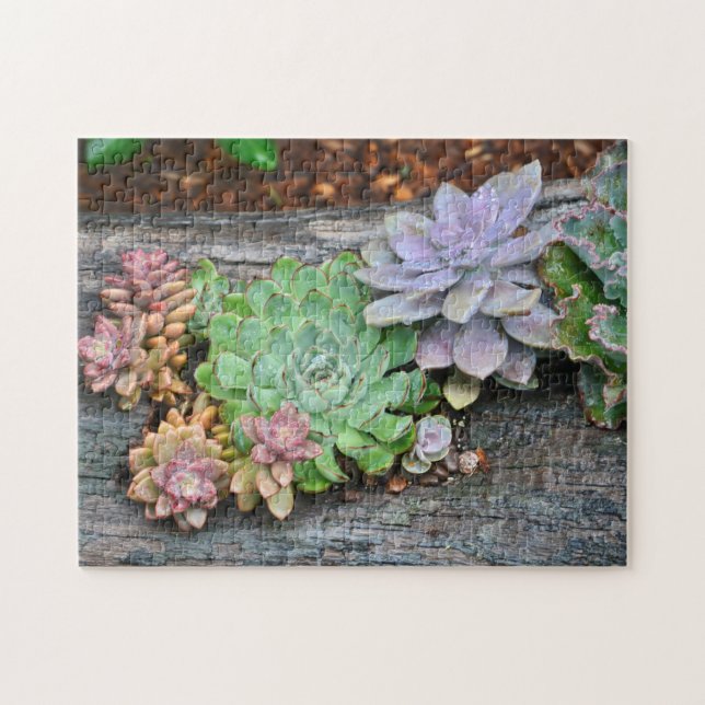 Succulents On Driftwood Jigsaw Puzzle (Horizontal)