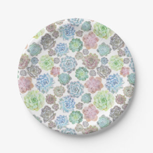 Succulents paper plate