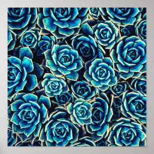 Succulents Poster