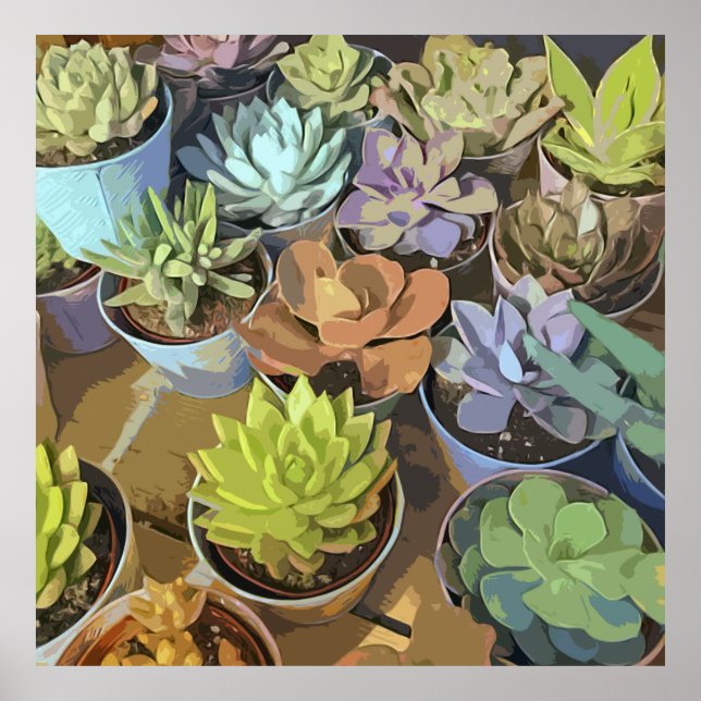 Succulents Poster (Front)