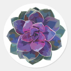 Succulents Sticker