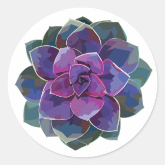 Succulents Sticker