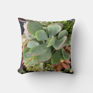 Succulents Throw Pillow