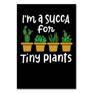 Succulents Tiny Plants Table Number
