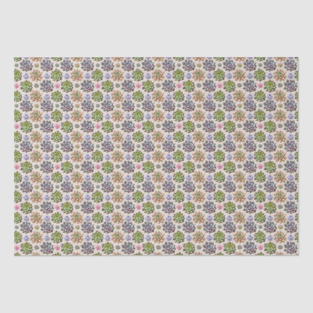 Succulents Tissue Paper (Front)