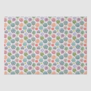 Succulents Tissue Paper