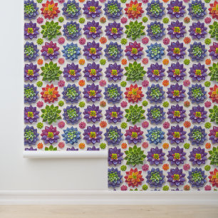 Succulents Wallpaper