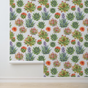 Succulents Wallpaper
