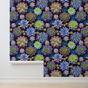 Succulents Wallpaper