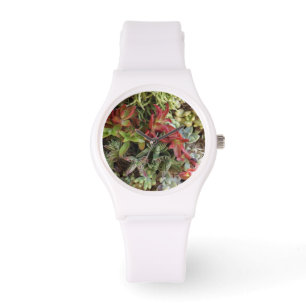 Succulents Watch