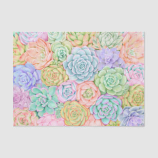 Succulents Watercolor Cute Colourful Pastel Tissue Paper