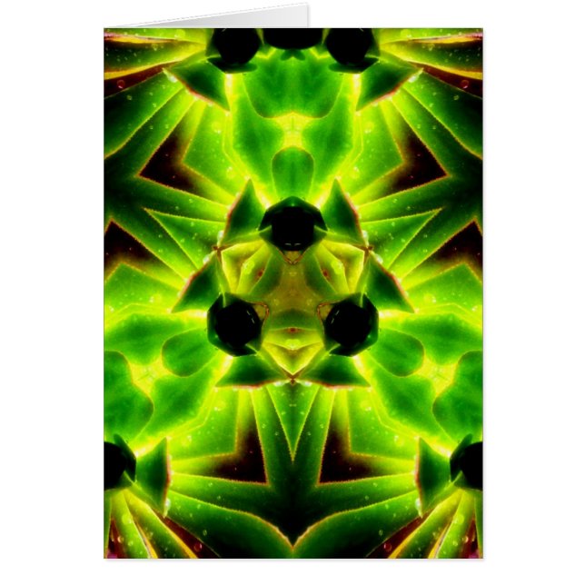 SucculenTy  Card (Front)