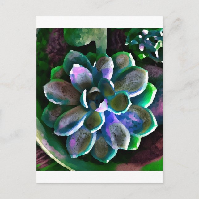 Succuss Postcard (Front)