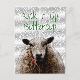 Suck It Up Buttercup Postcard