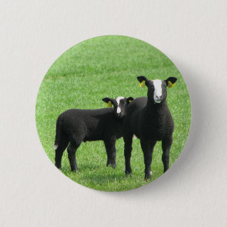 Sucking lambs 6 cm round badge