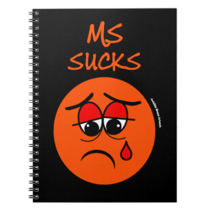 SUCKS...MS NOTEBOOK