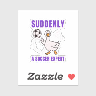 Suddenly a soccer expert