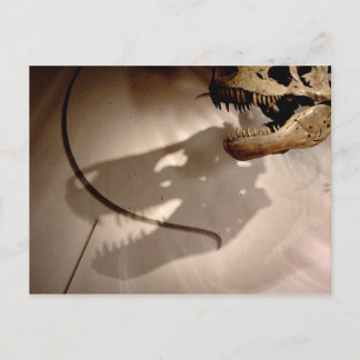 Sue's Shadow Postcard