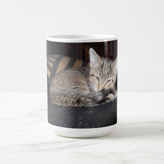 Sug Sleepin Coffee Mug