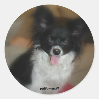 Sugar Baby Classic Round Sticker