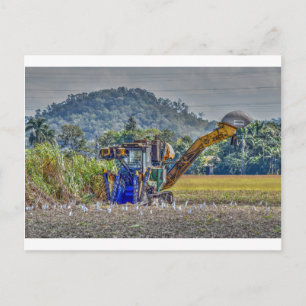 SUGAR CANE HARVESTOR QUEENSLAND AUSTRALIA POSTCARD