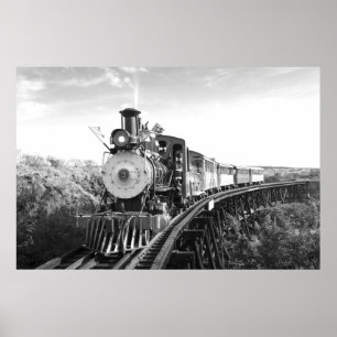sugar cane train_Hawaii black and white poster