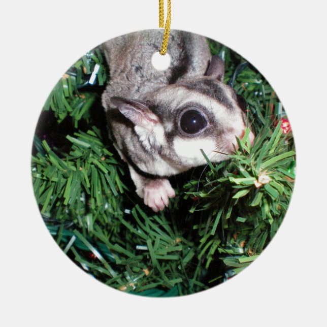 sugar glider Christmas Ceramic Tree Decoration (Front)