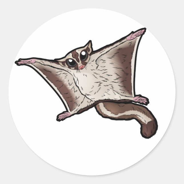 Sugar Glider Classic Round Sticker (Front)