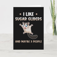 Sugar Glider Cute Animals