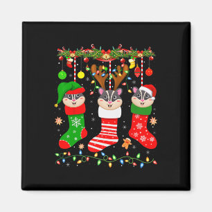 Sugar glider in christmas socks lights sugar glide magnet