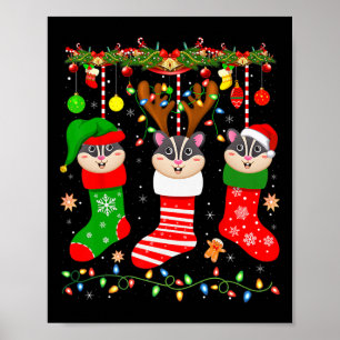 Sugar glider in christmas socks lights sugar glide poster